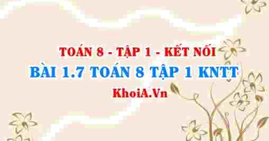 Bài 1.7 SGK Toán 8 tập 1 Kết nối tri thức